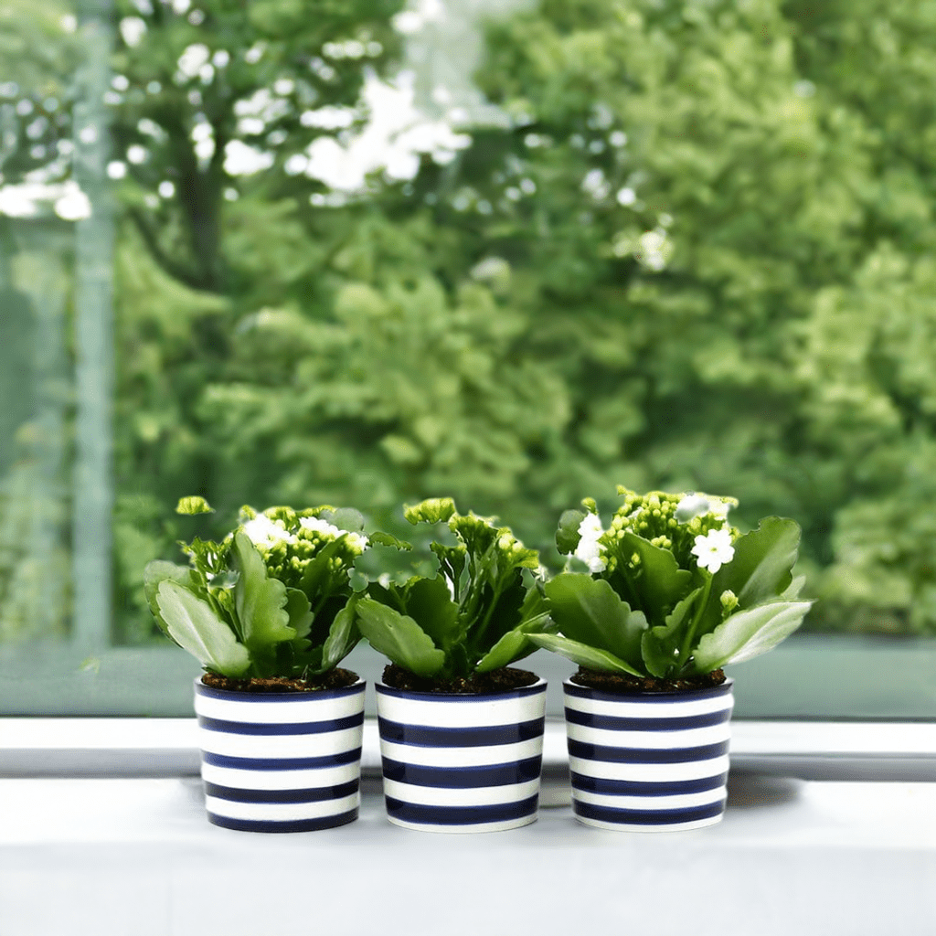 Ensemble de 3 pots en céramique Bleu Cobalt Ensemble de 3 pots "Costa nova" - Bleu Cobalt