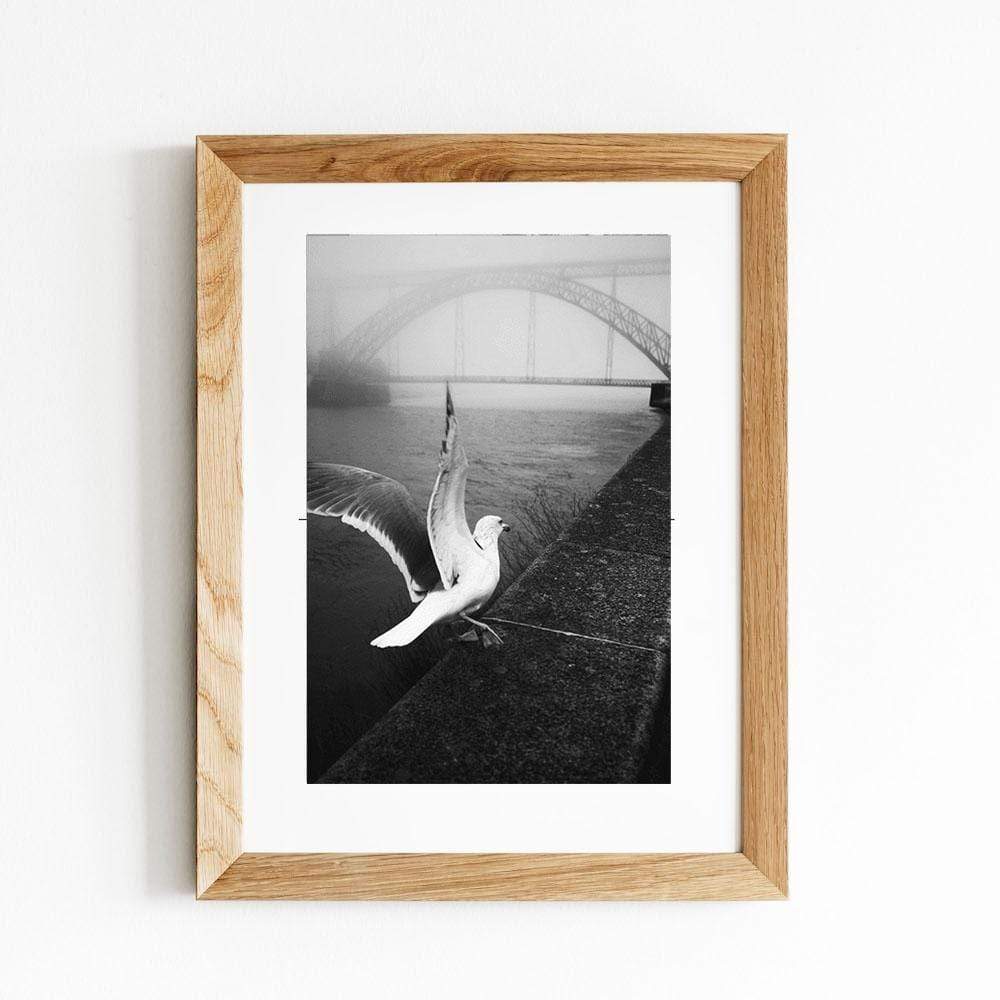 Photo d'art signée "Morning fog#4"