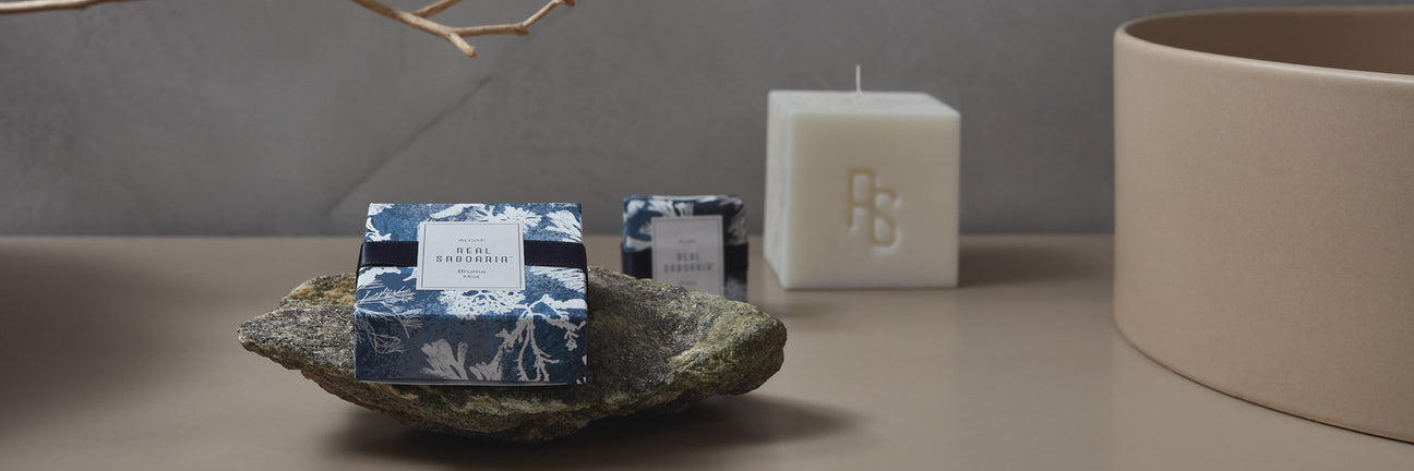 Nouveaux produits portugais