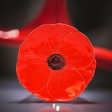 Assiette rouge en céramique portugaise Assiette en céramique "Papoila" 27cm - Rouge