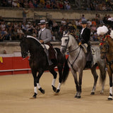 Chapeau traditionnel de Toreiro portugais Chapeau traditionnel de Toreiro portugais
