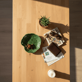 Coupe à apéritif avec tortue I Vaisselle portugaise Petite assiette en céramique "Tartaruga"