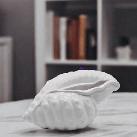 Coupe en céramique Concha I Coupe en forme de coquillage Coquillage en céramique 24cm - Blanc