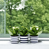 Ensemble de 3 pots en céramique Bleu Cobalt Ensemble de 3 pots "Costa nova" - Bleu Cobalt