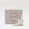 hirondelle en céramique stylisée et modernisée blanche, dans sa boîte cadeau Luisa Paixão.  Coffret hirondelle stylisée - Blanc