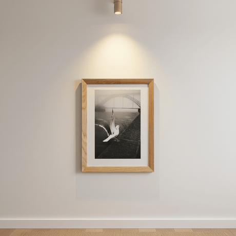 Photo d'art signée des ponts de Porto Photo d'art signée "Morning fog#4"