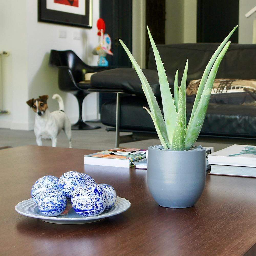 Boule en céramique de Coimbra