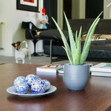 Boule en céramique de Coimbra