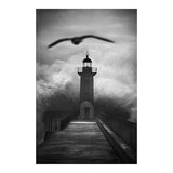 Photo d'art signée "Intangível"