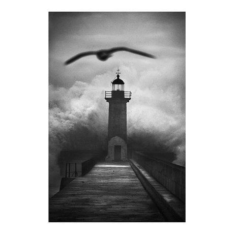 Photo d'art signée "Intangível"