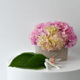 Cache-pot en céramique